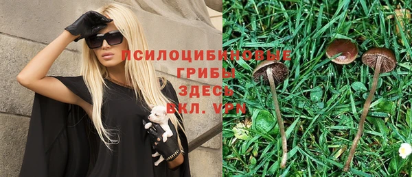 соль ск Ужур