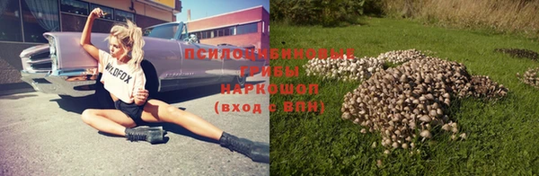 индика Удомля