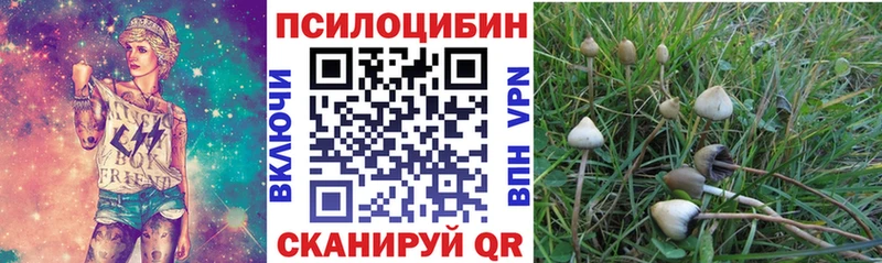 Псилоцибиновые грибы прущие грибы  Тюкалинск 